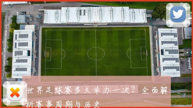 世界足球赛多久举办一次?全面解析赛事周期与历史